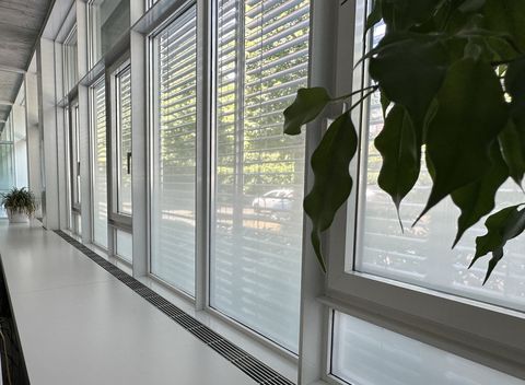 Sichtschutz